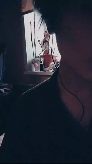 Model - Sili roleplay