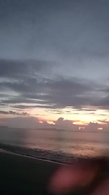 Model - Elaya petite