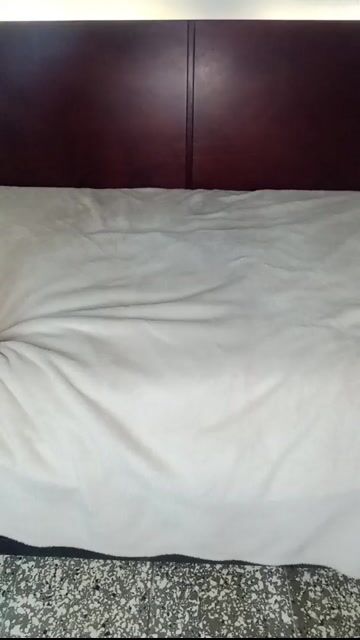 Model - mumei2023 pussy