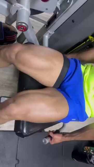 Model - Maxbrown toys