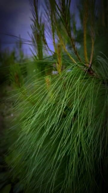 Model - Leah Barker latina