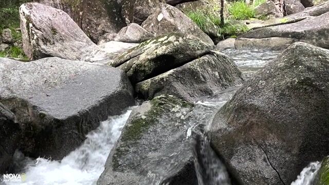 Model - Nova Hawthorne girlfriend