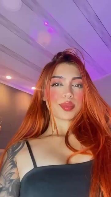 Polygonnia anal Model - Polygonnia anal