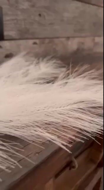 Model - Nikki_Kai milf