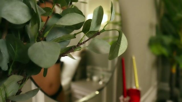 Model - LexiPleasure toys