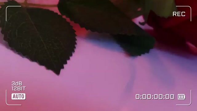 Model - Sara_Mejia anal