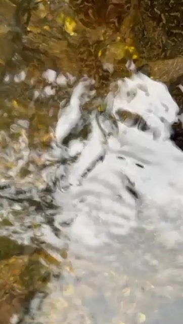 Model - Lola_lola lips