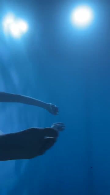 Model - LyzVaalk fastresponse