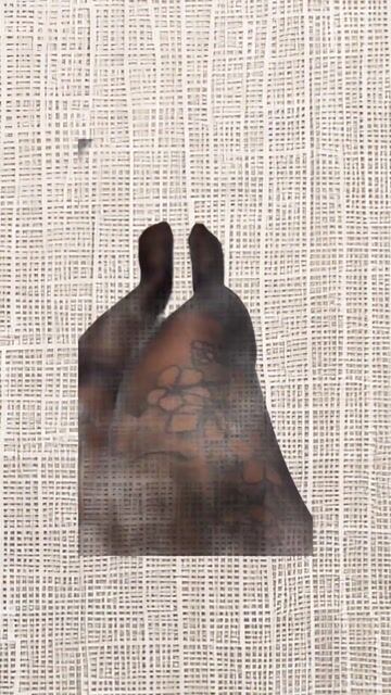 Model - GoddessPheonixJay nylon