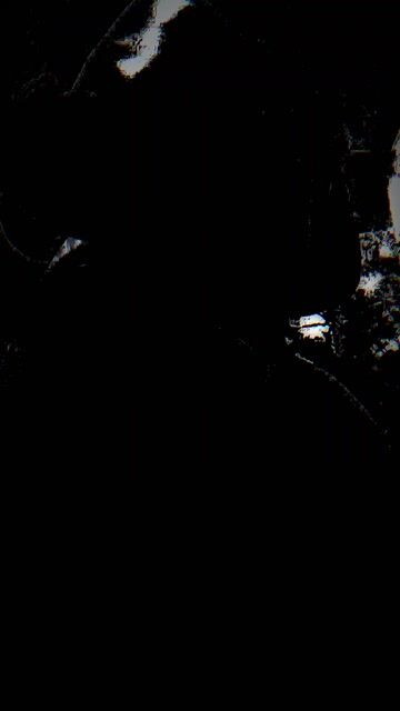 Model - Destinysiins curvy