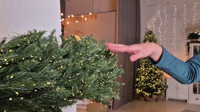 Model - RoseHille bigass