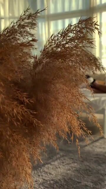 Model - MilaSkyy ass