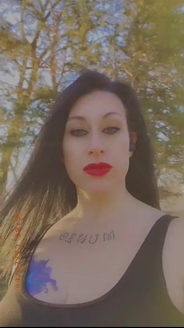 Model - Star-Vega anal