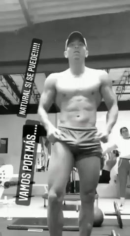 Model - Paisa_cam1 anal