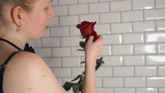 Model - Beatrica toys