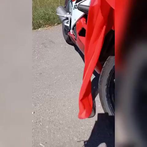 Model - AdrianaSea toys