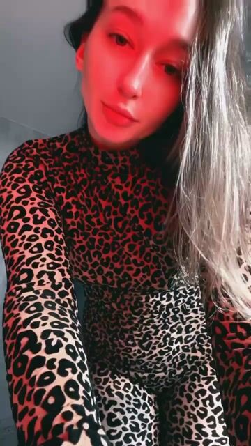 Model - Honeybun toys