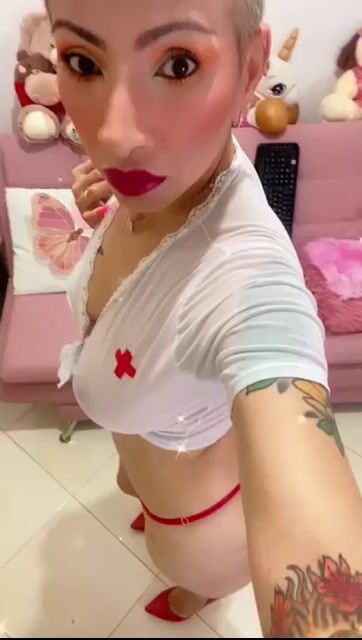 Model - Delfinlana toys