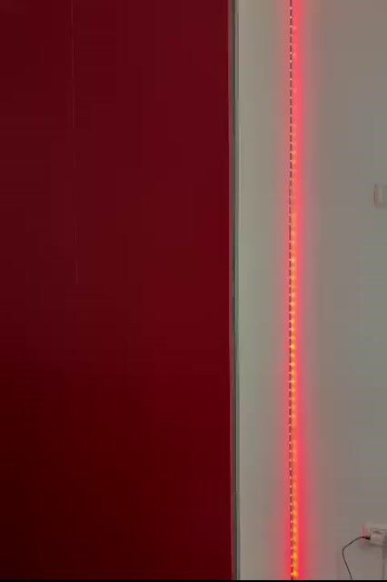 Model - CassieFox toys