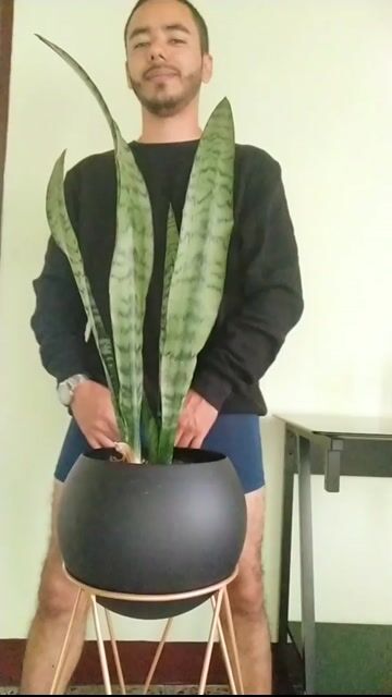 Model - Tomas hot cum