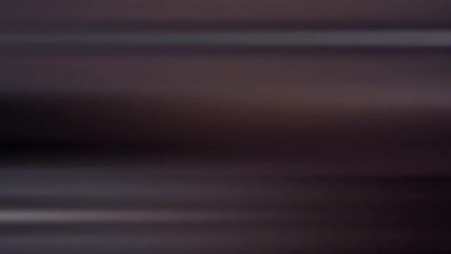 Model - Sophia Richy toys