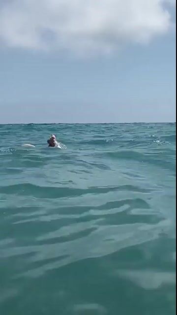 Model - LovelyNikol striptease